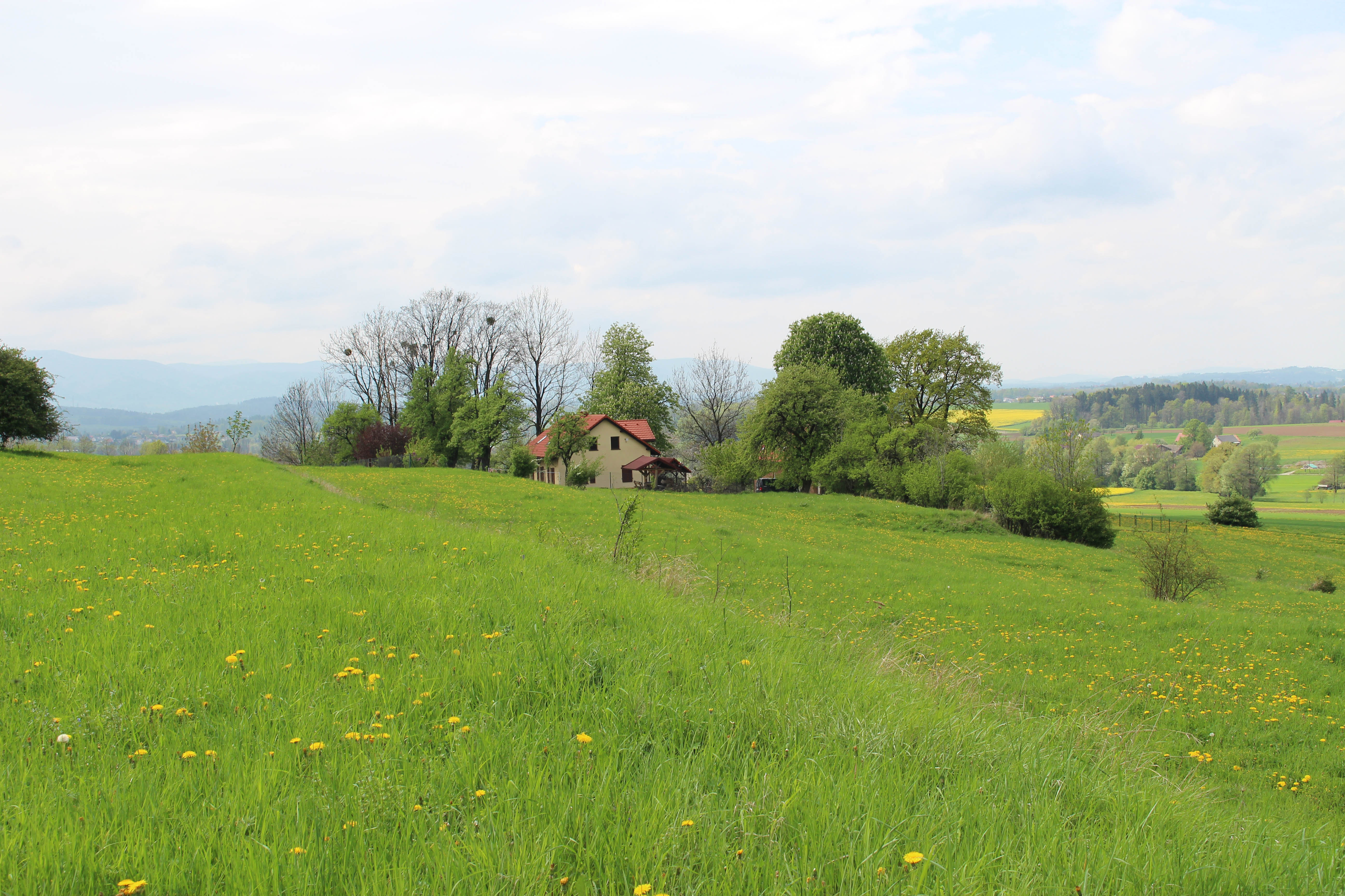Vado a vivere in campagna