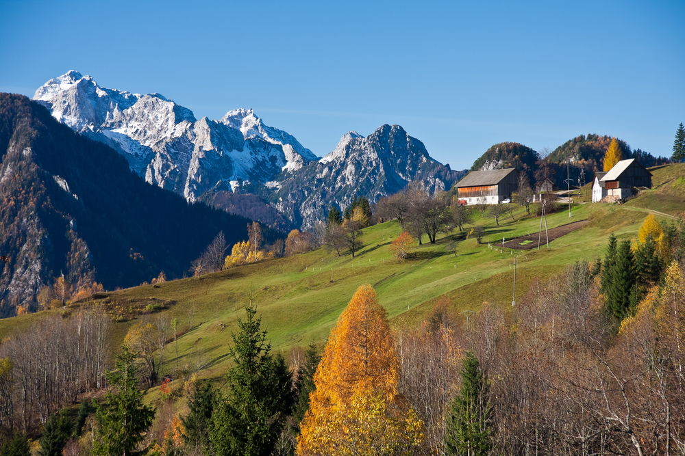 Vacanze: capodanno in un maso con la famiglia