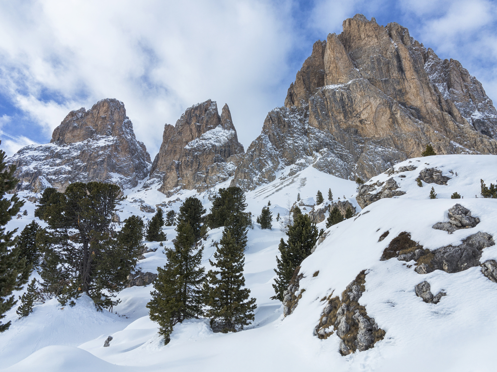 Sulla neve... senza sci!