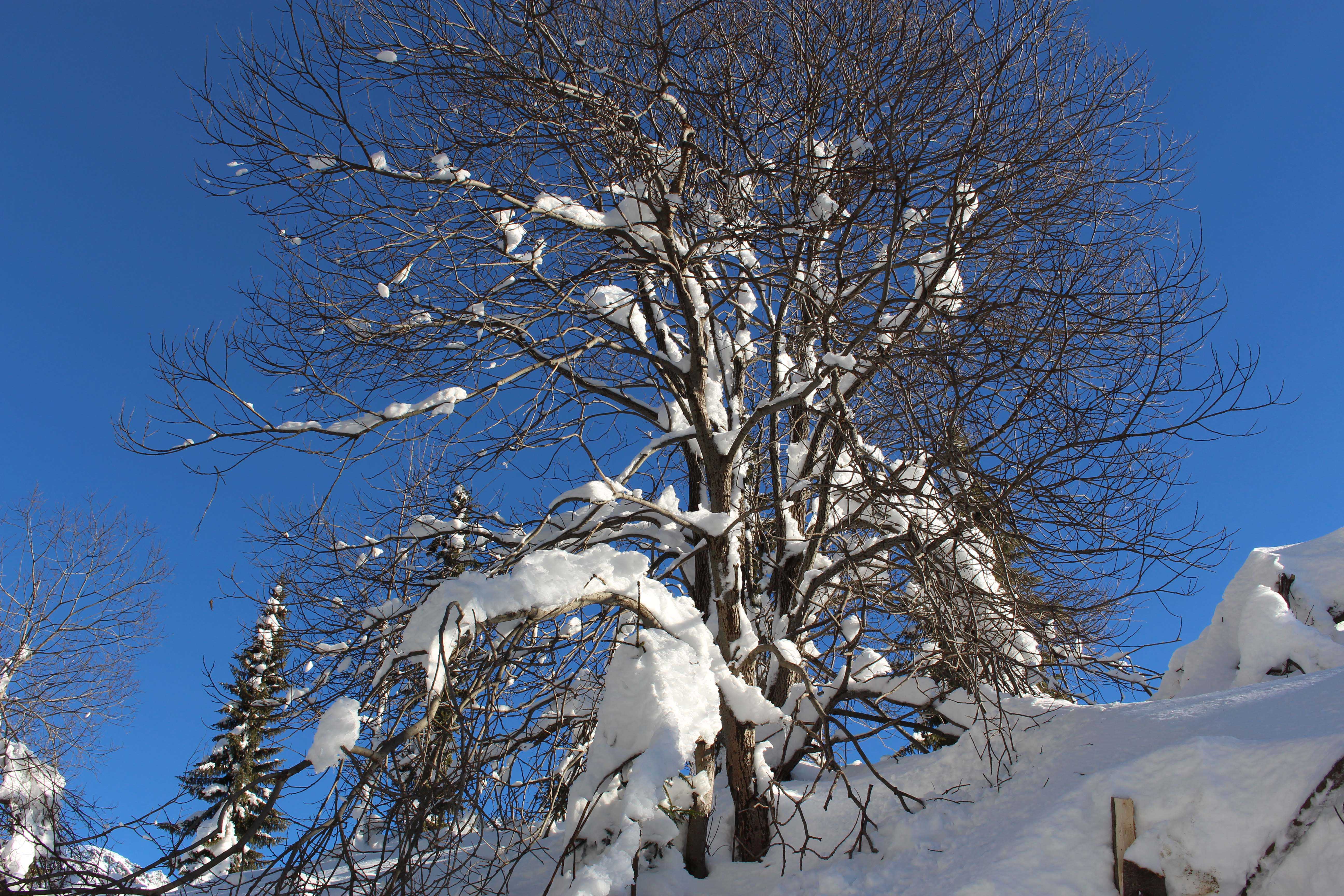 Natale in montagna: le offerte del Friuli