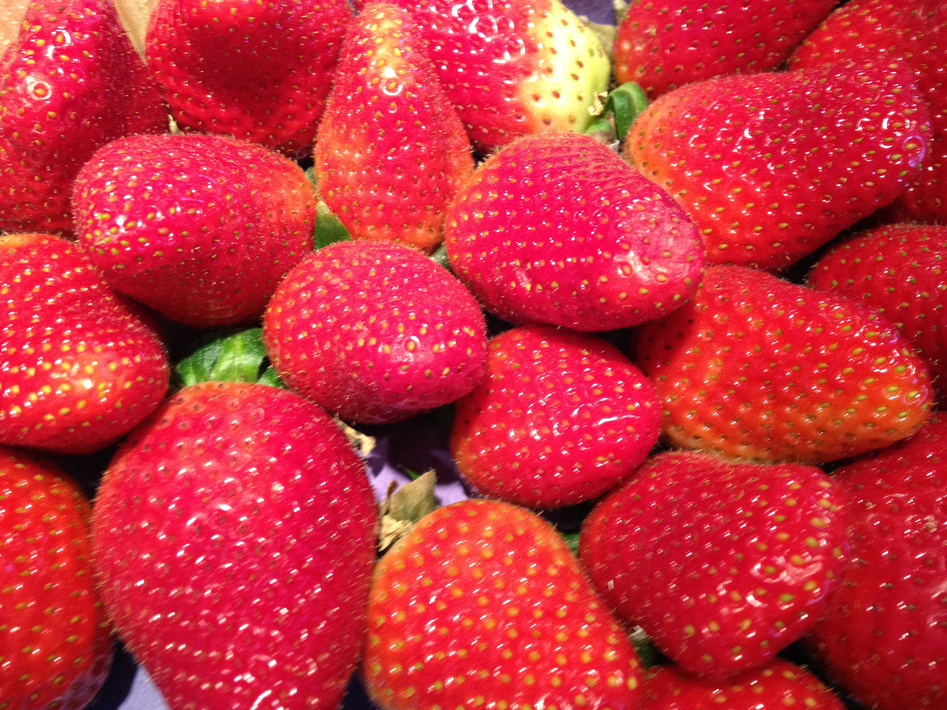 La fragola