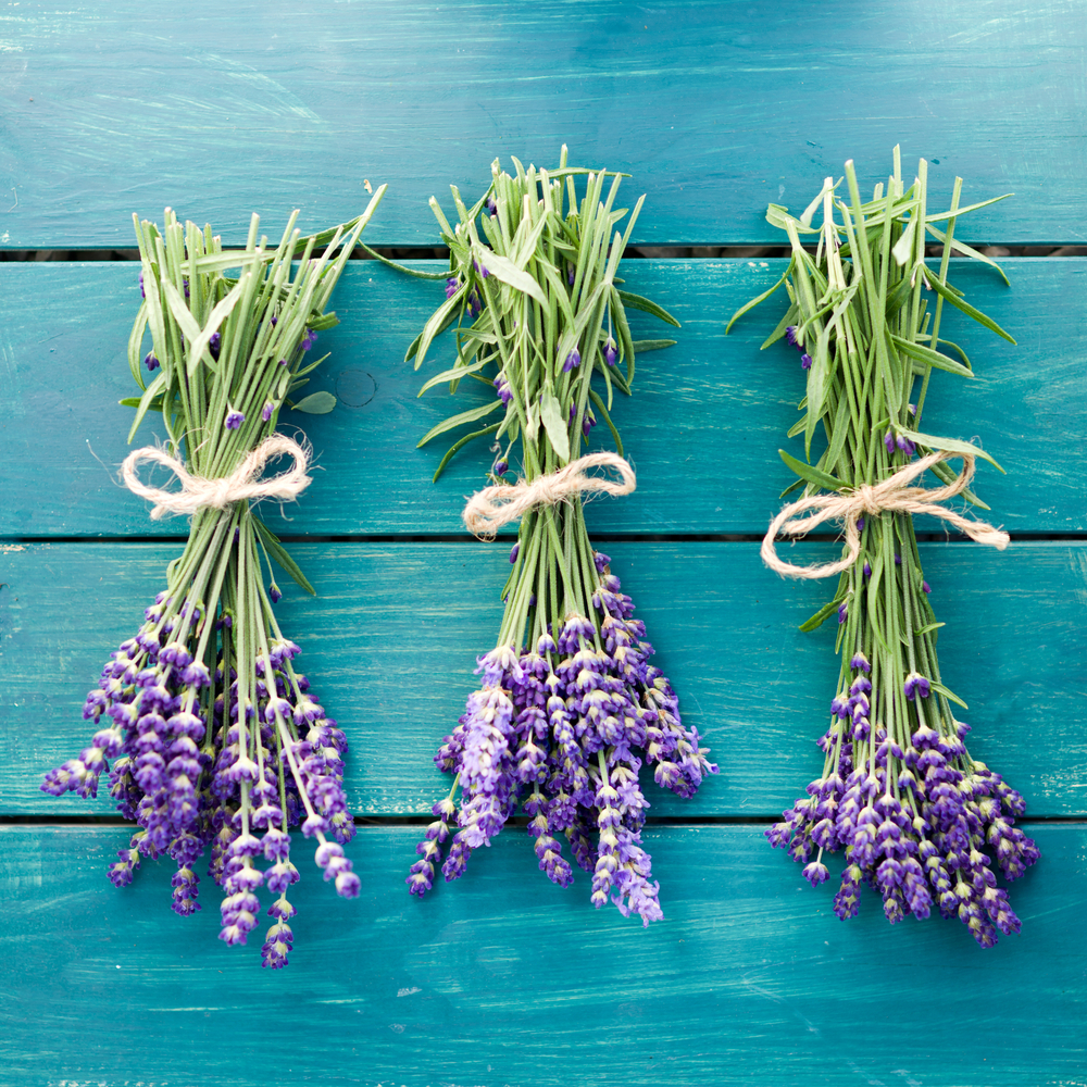 Guardaroba anti-tarme