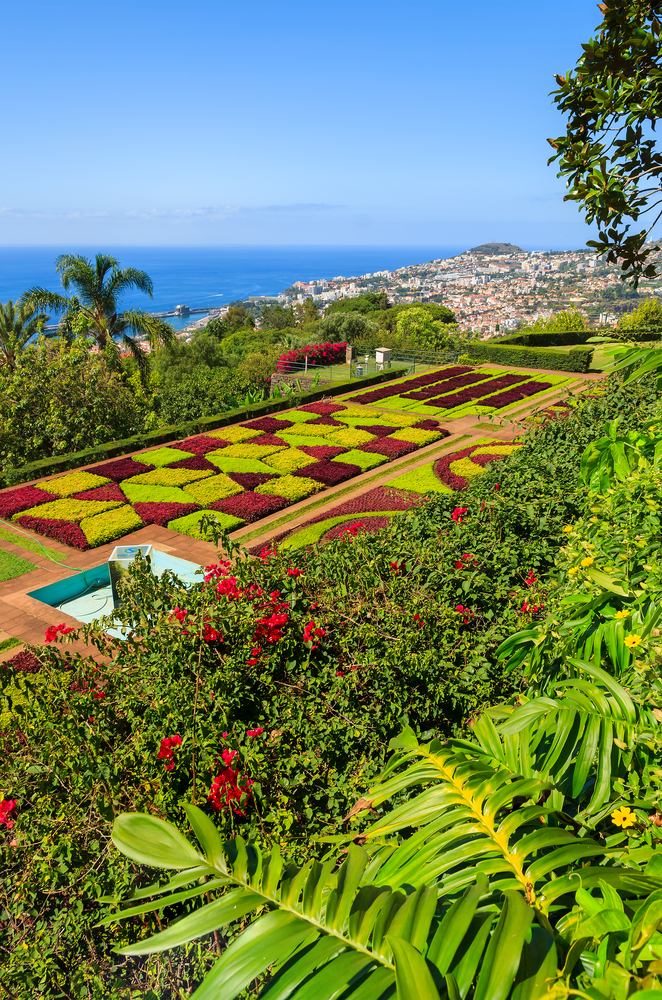 Recensioni viaggi: l'arcipelago di Madera