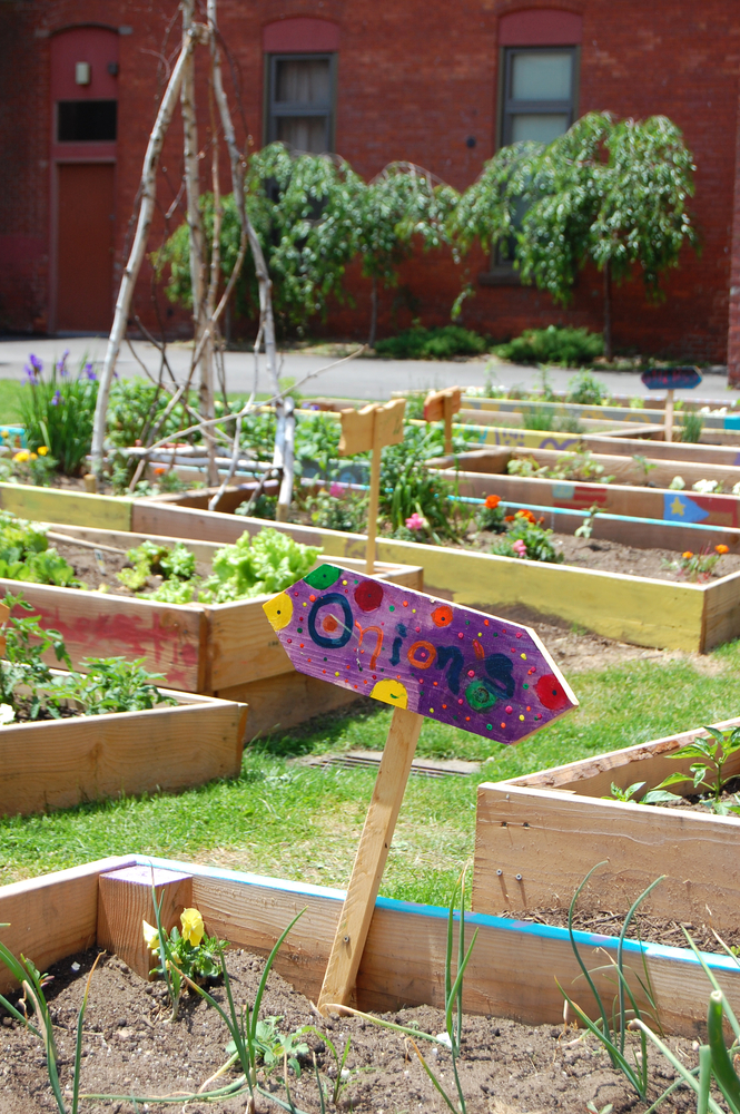 Cohousing, una casa green