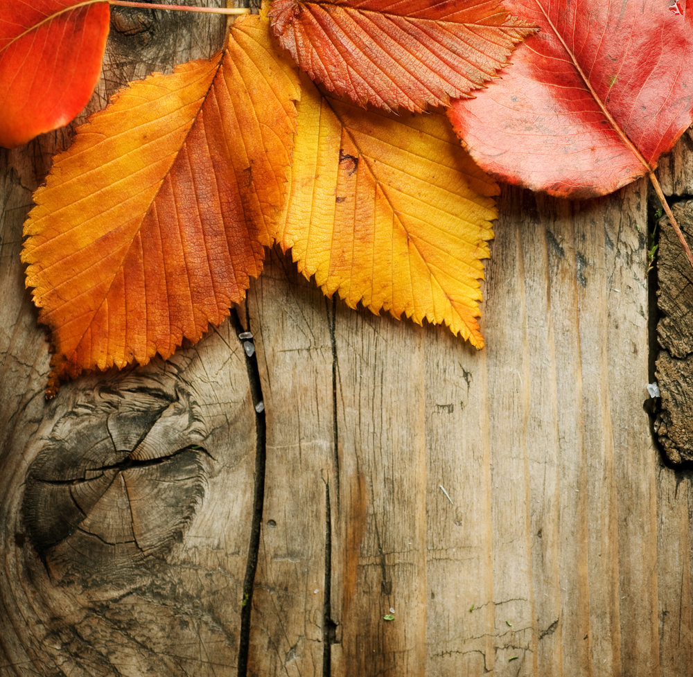 L'autunno in Italia