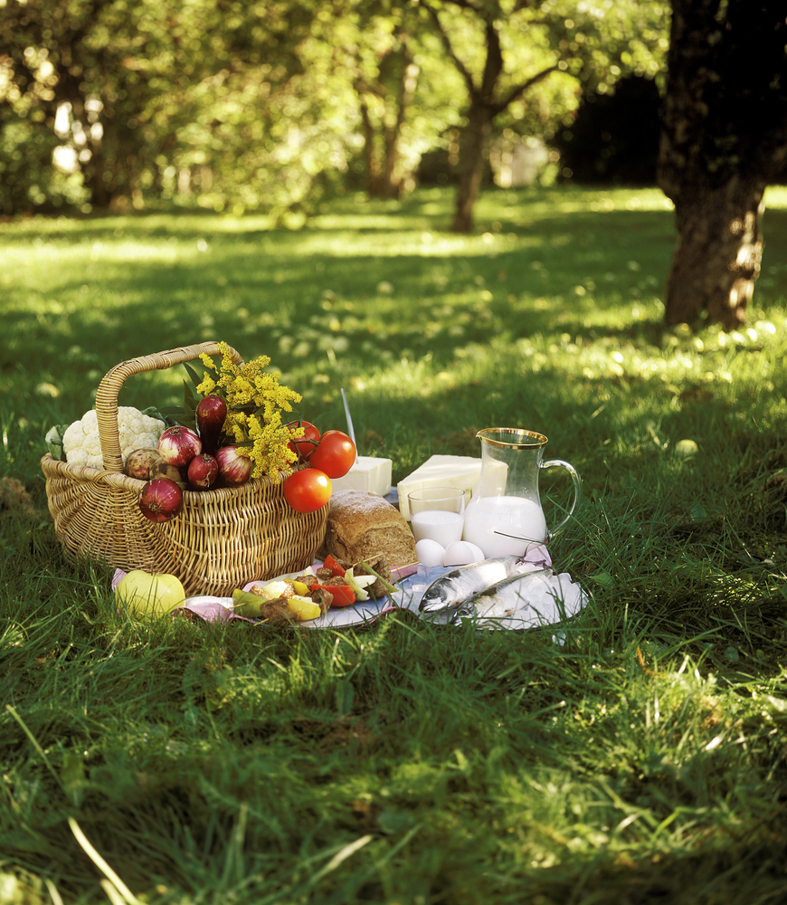 È l'ora del pic-nic!
