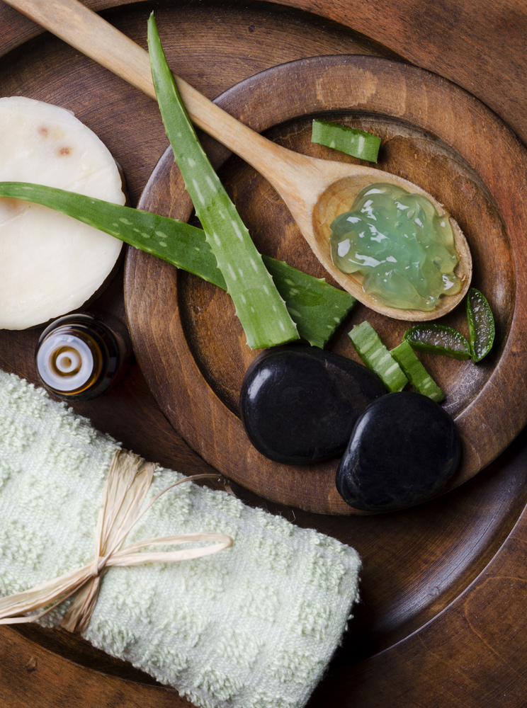 Aloe, una pianta per tutti!