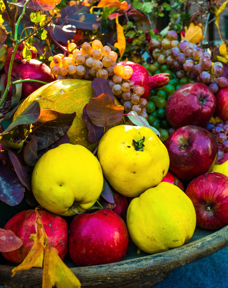 Anche l'autunno dà i suoi frutti!