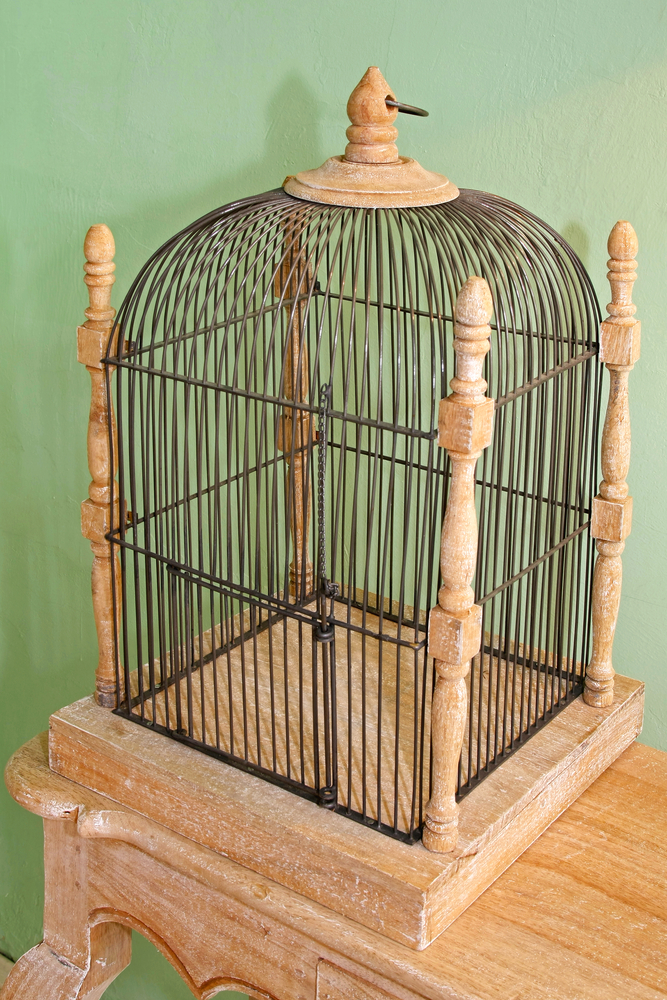 Che cosa significa sognare una gabbia