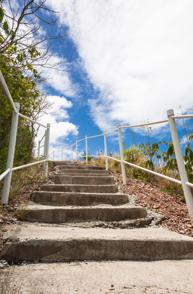 Che cosa significa sognare una rete