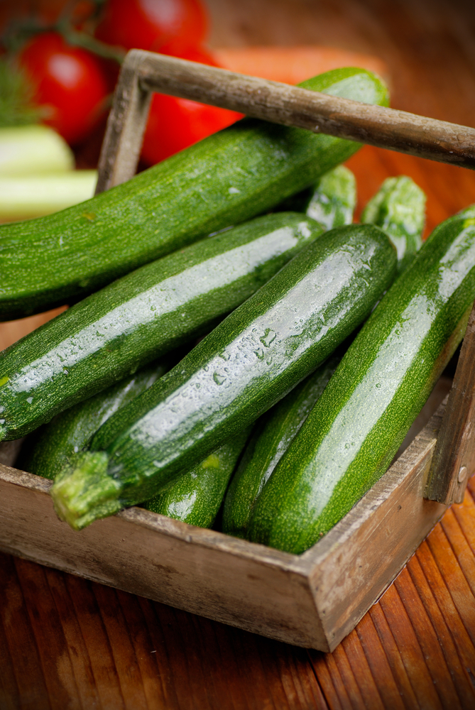 Elogio della zucchina