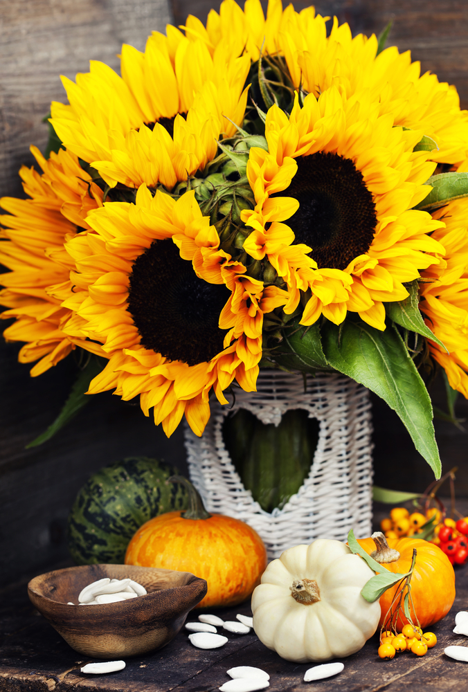 Girasole di fili di carta