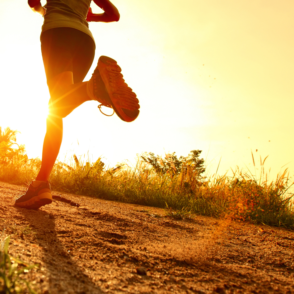 Il fitness amico dell'ambiente