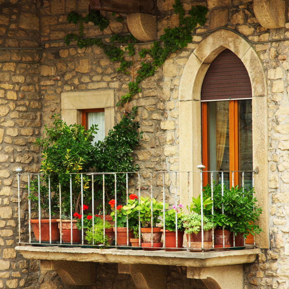 Il frutteto in terrazzo