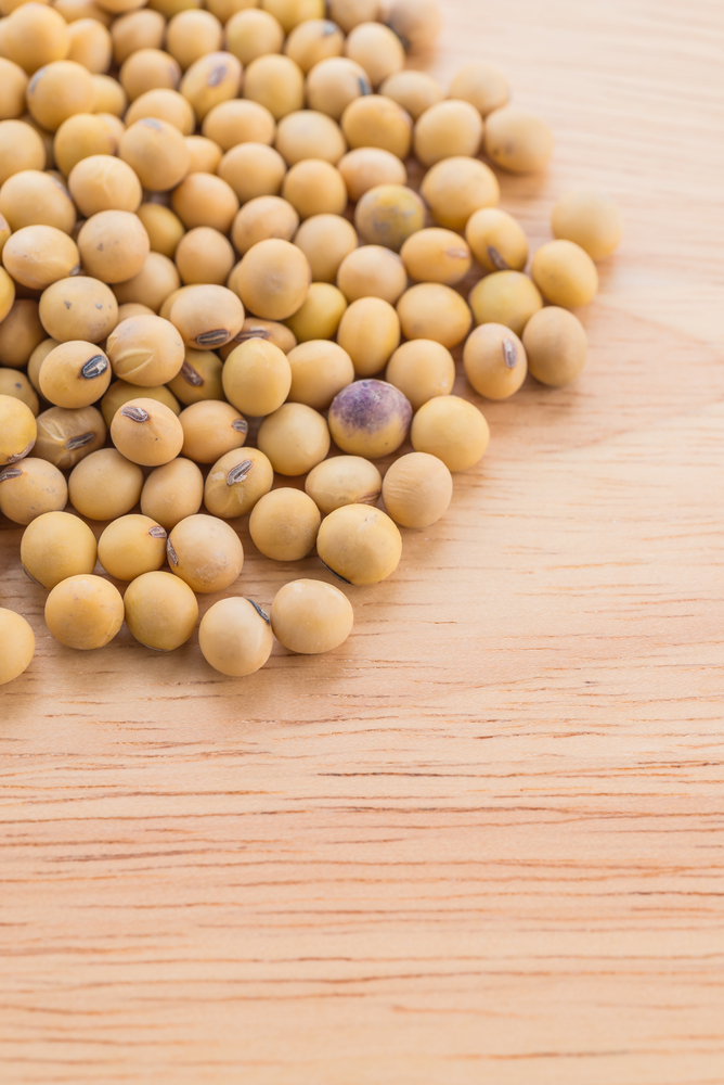 La soia: un alimento da scoprire
