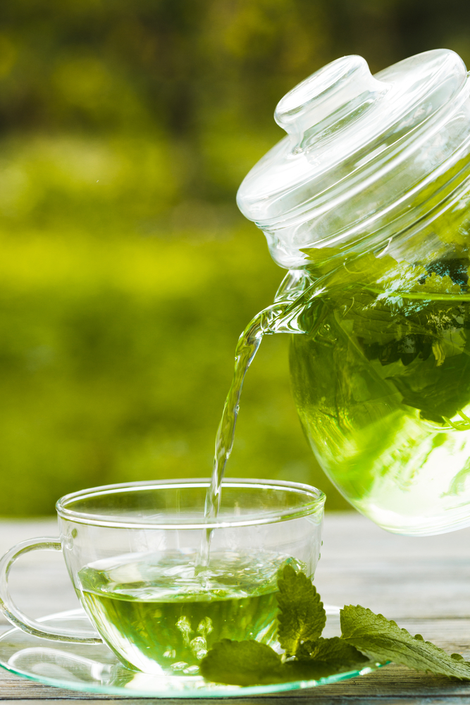 Le proprietà medicinali della melissa