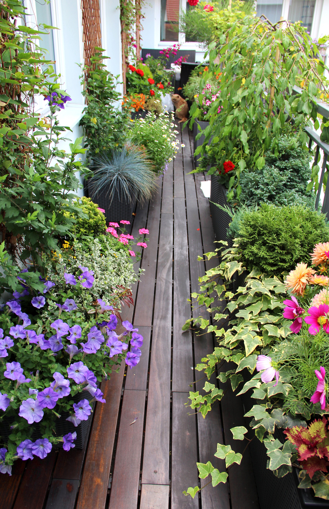 L’orto sul balcone