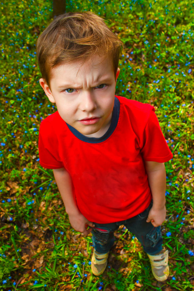 Baby bulli, perché diventa litigioso e violento?