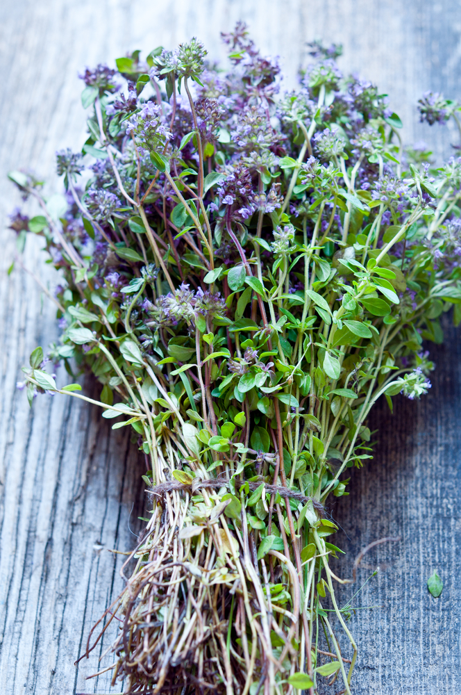 Timo, coccole di bellezza