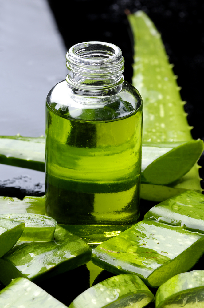 Tutti gli usi dell'Aloe