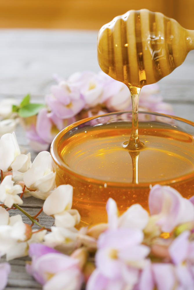 Il miele tutte le proprietà e ricette per utilizzarlo