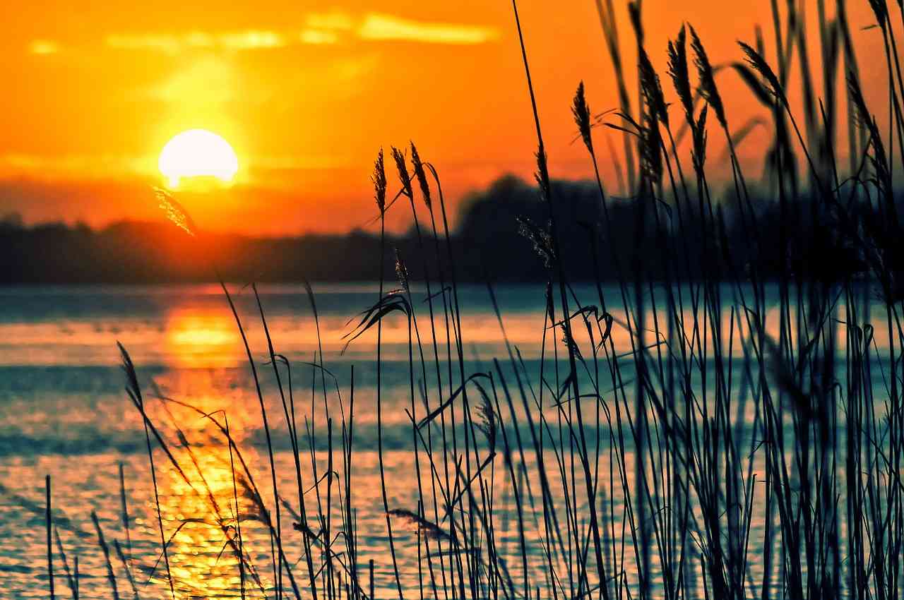 Lago di Bolsena: cosa vedere e cosa fare