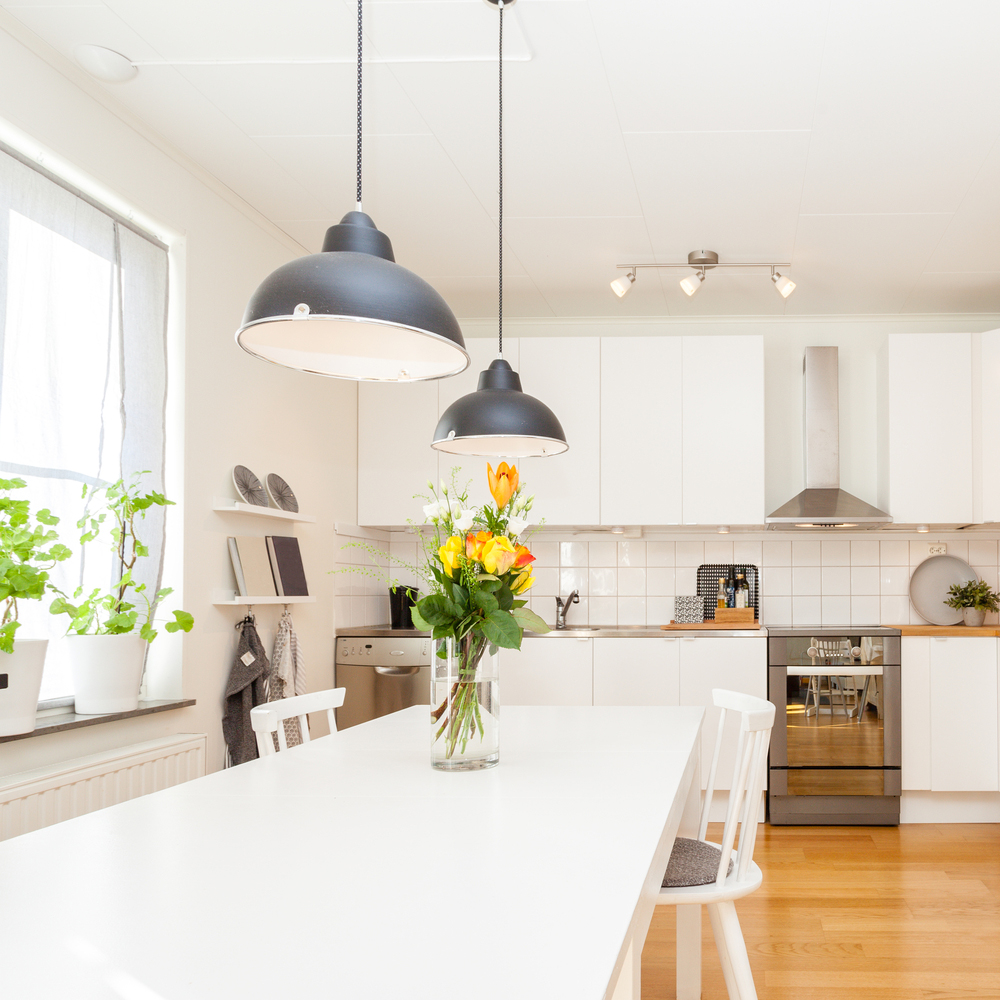 Come liberarti dagli scarafaggi