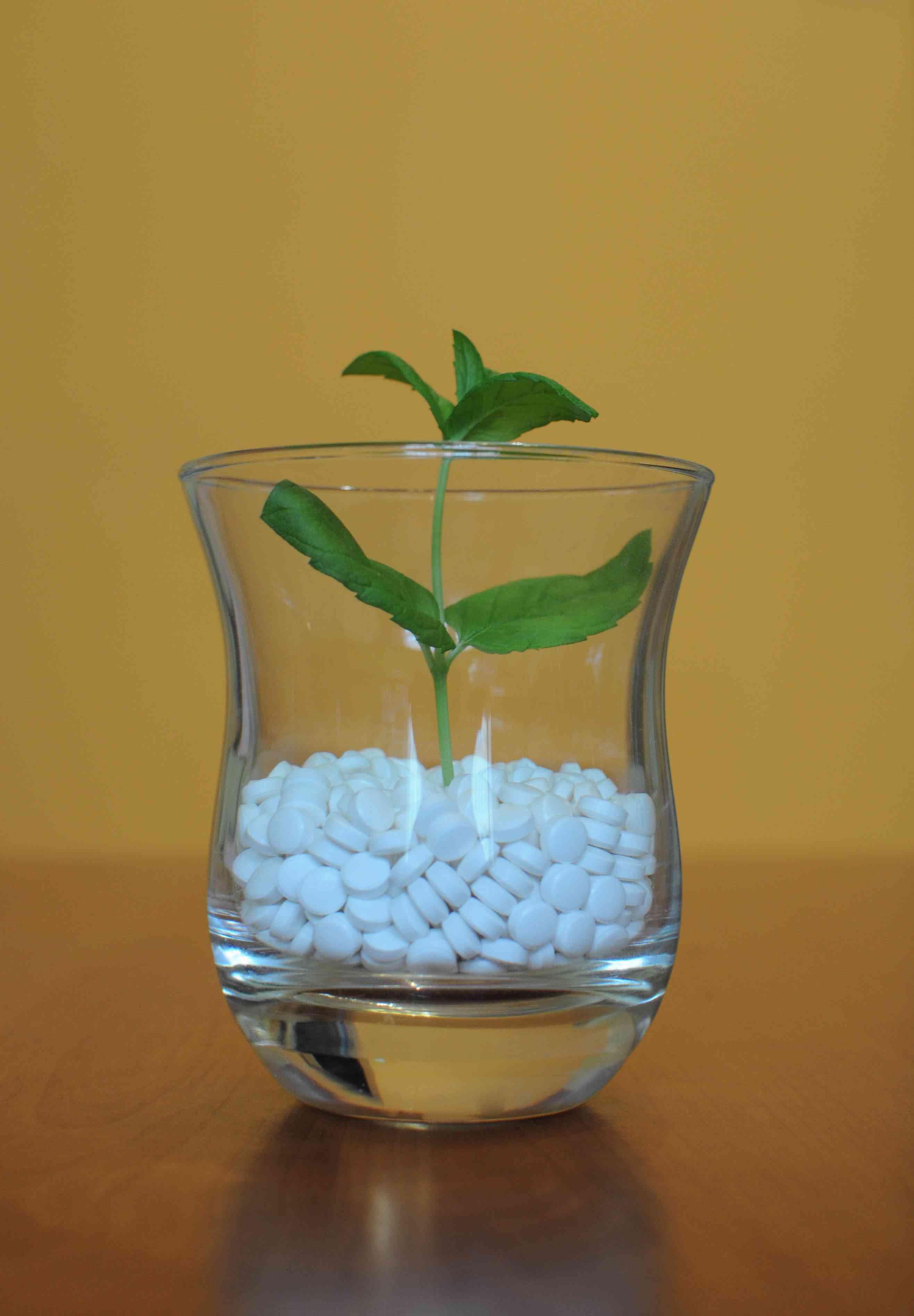 Rimedi omeopatici: cosa sono?