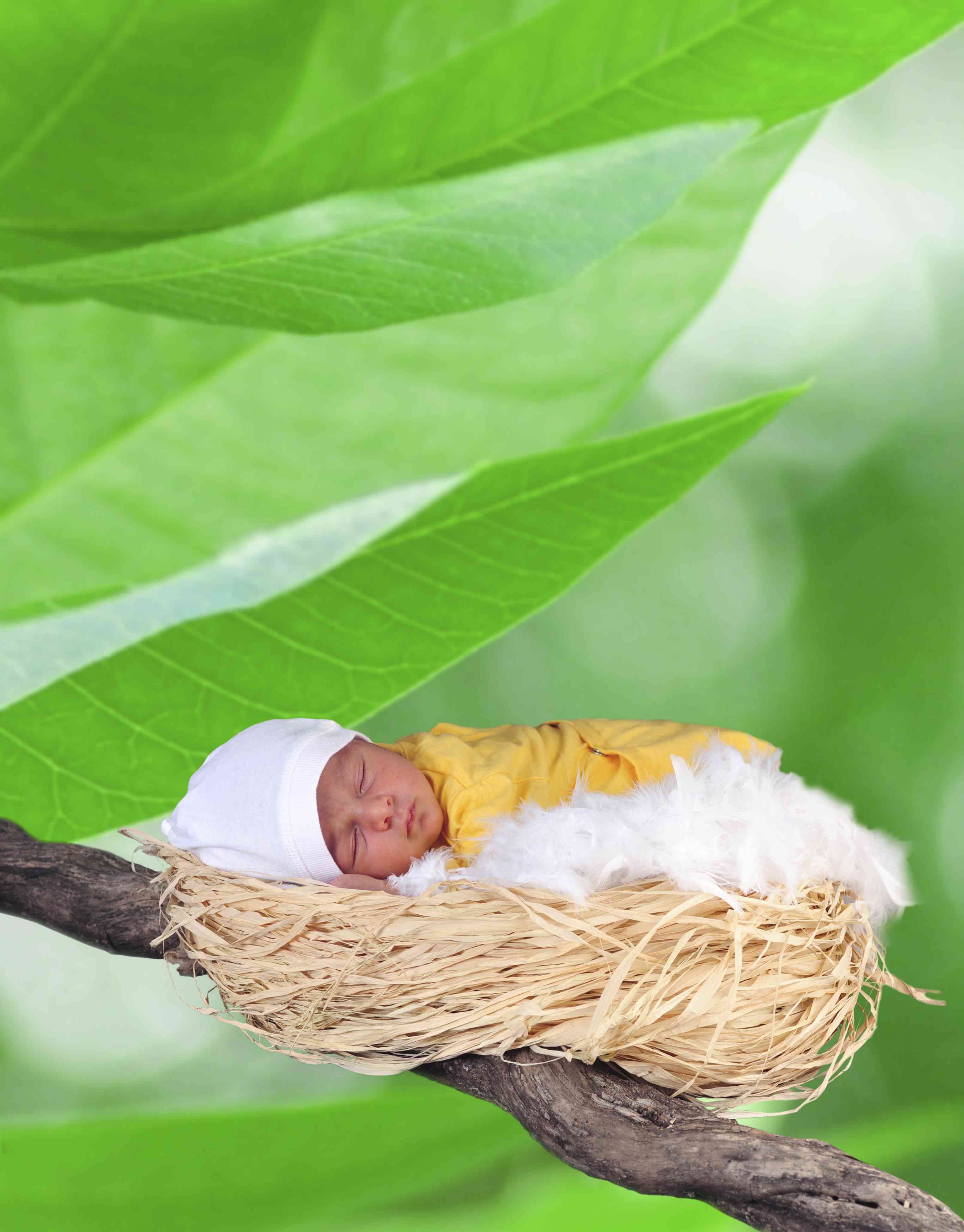 Sognare di partorire: cosa significa?