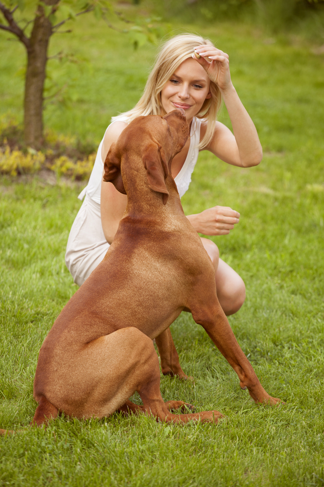 No all'abbandono dei cani