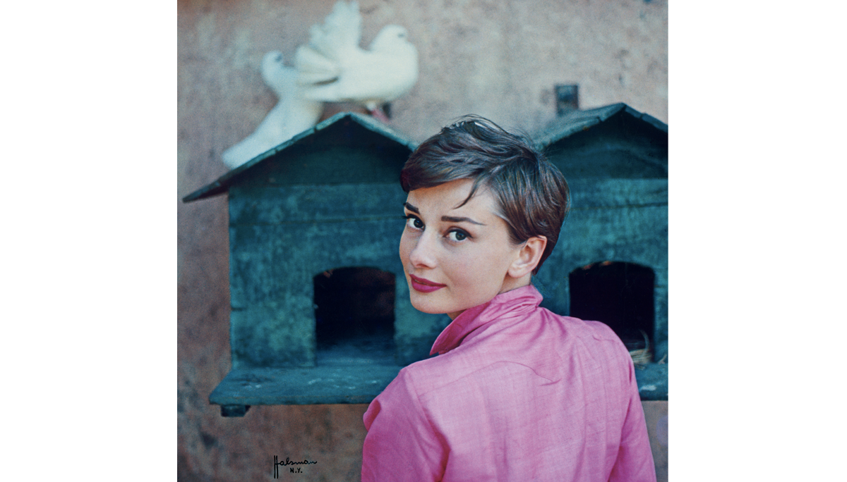 Audrey_03.png
