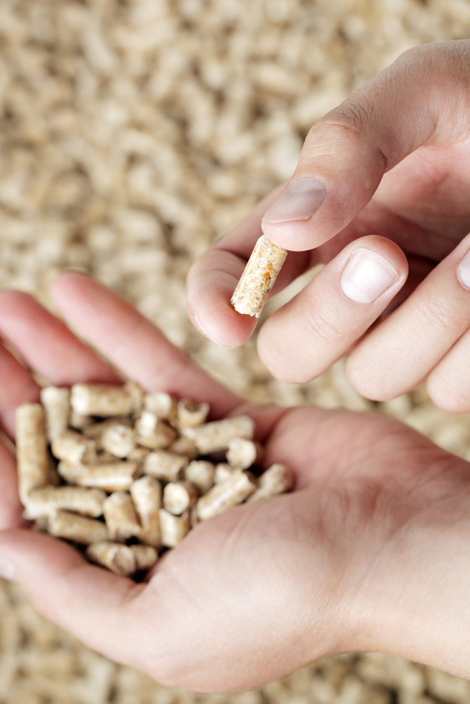 Come pulire la stufa a pellet: manutenzione e pulizia