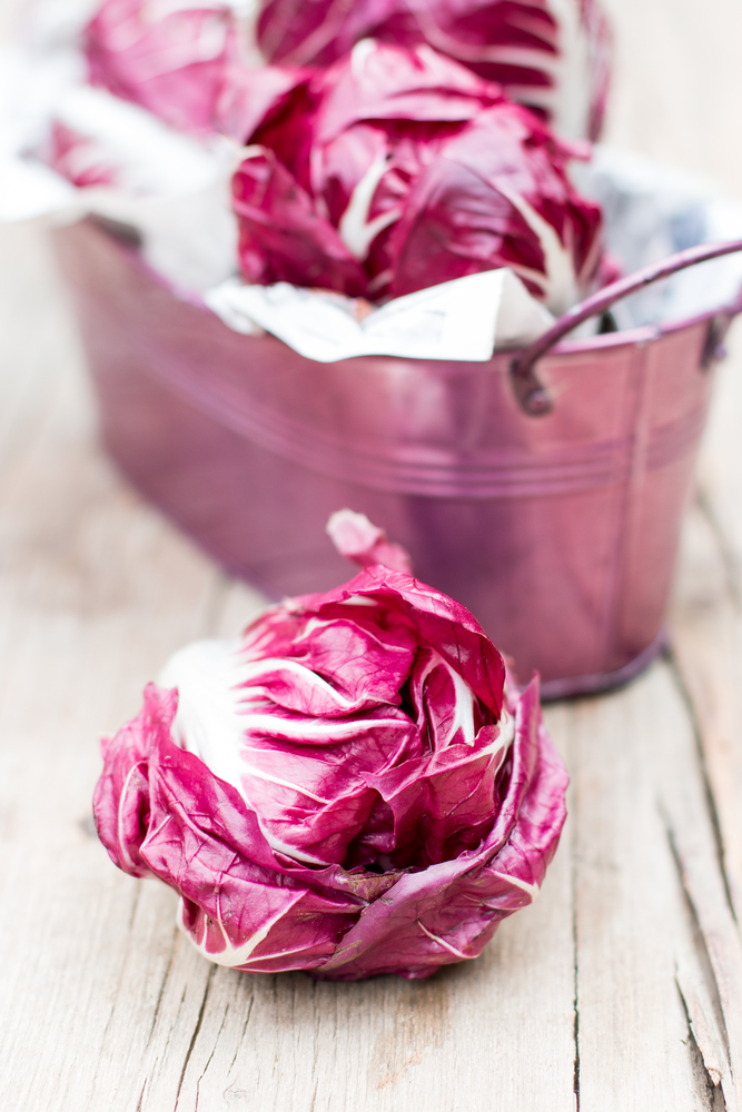 Confettura di radicchio
