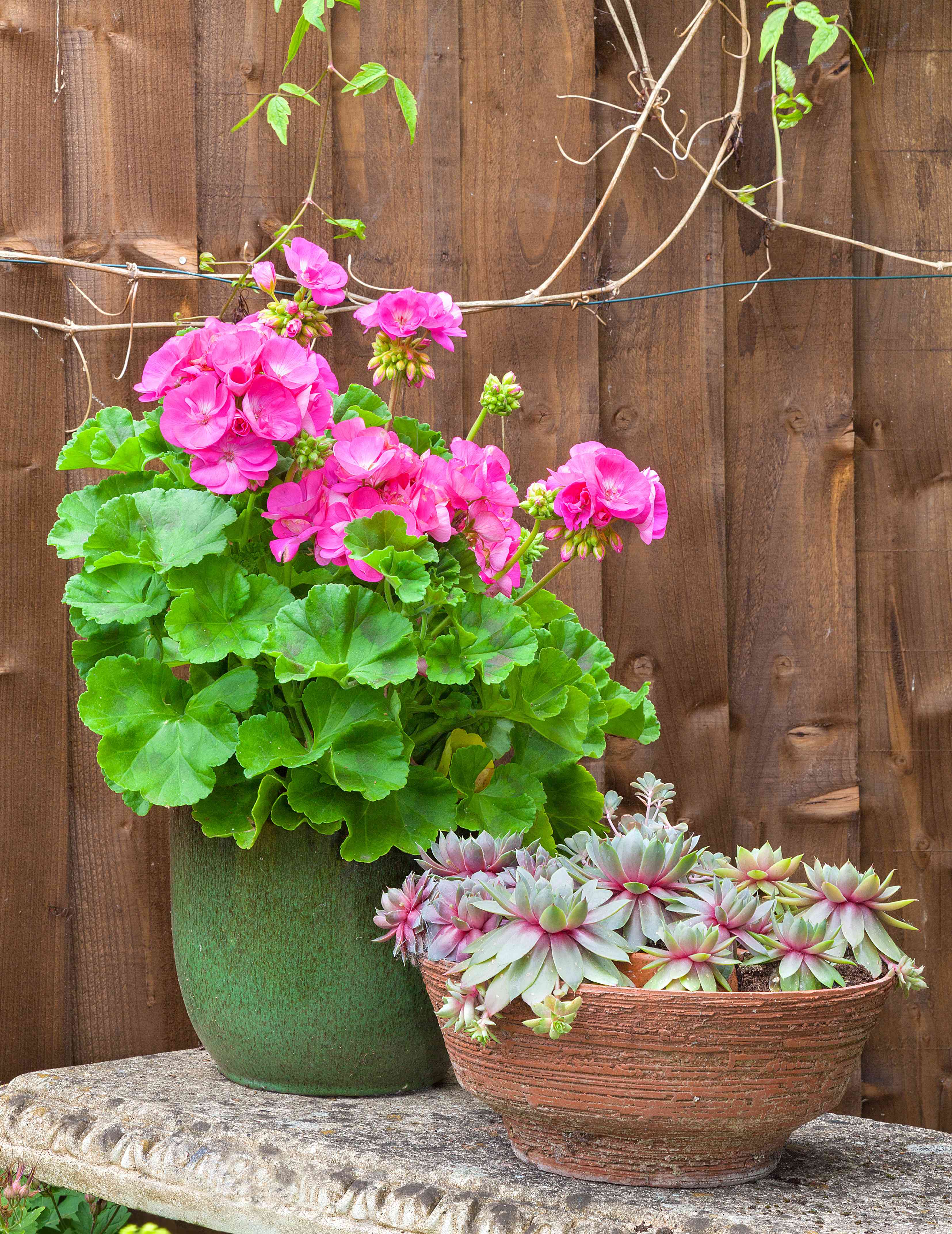 Come riparare dal vento il terrazzo