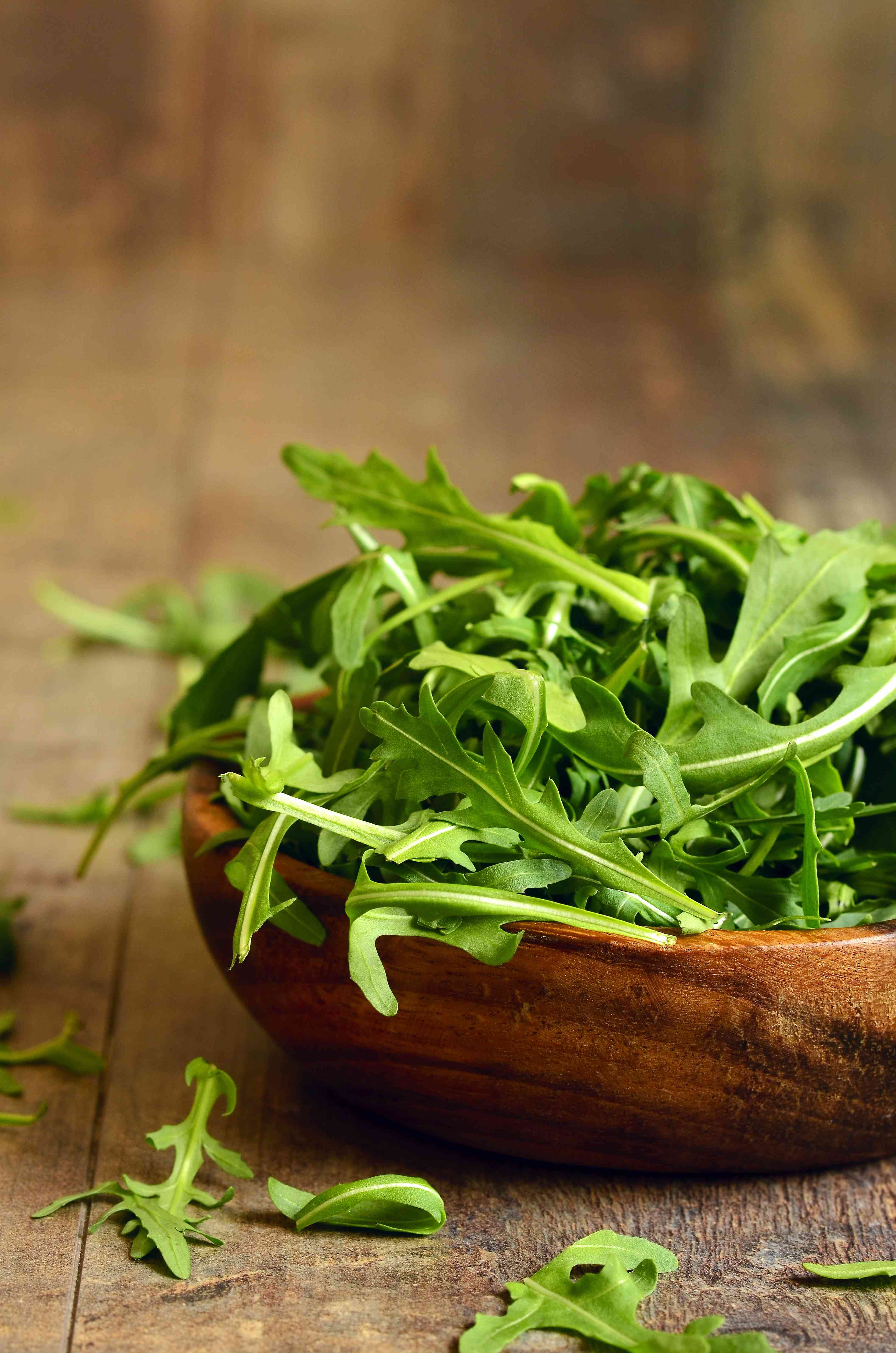 Come coltivare la rucola