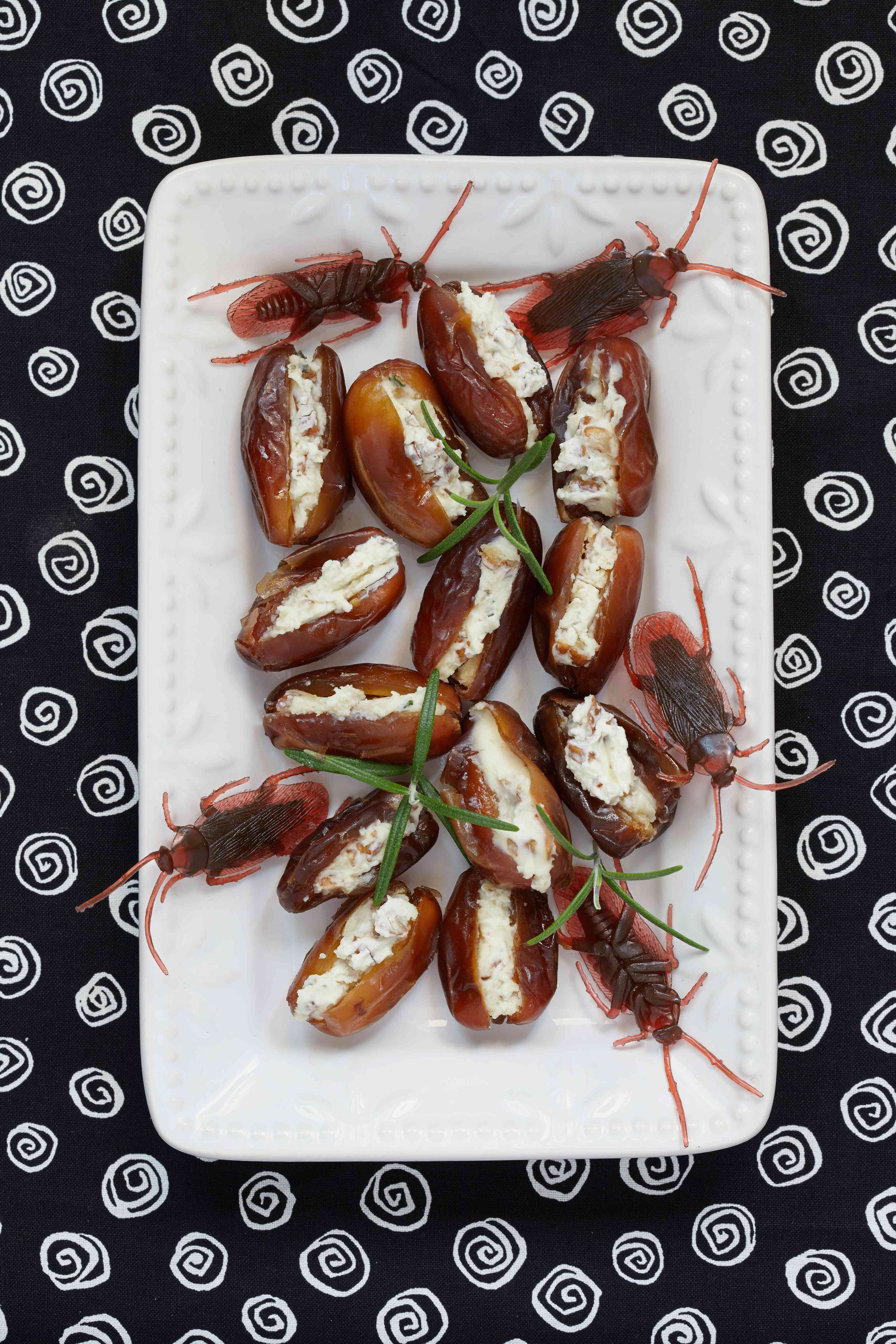 Sognare gli insetti: significato