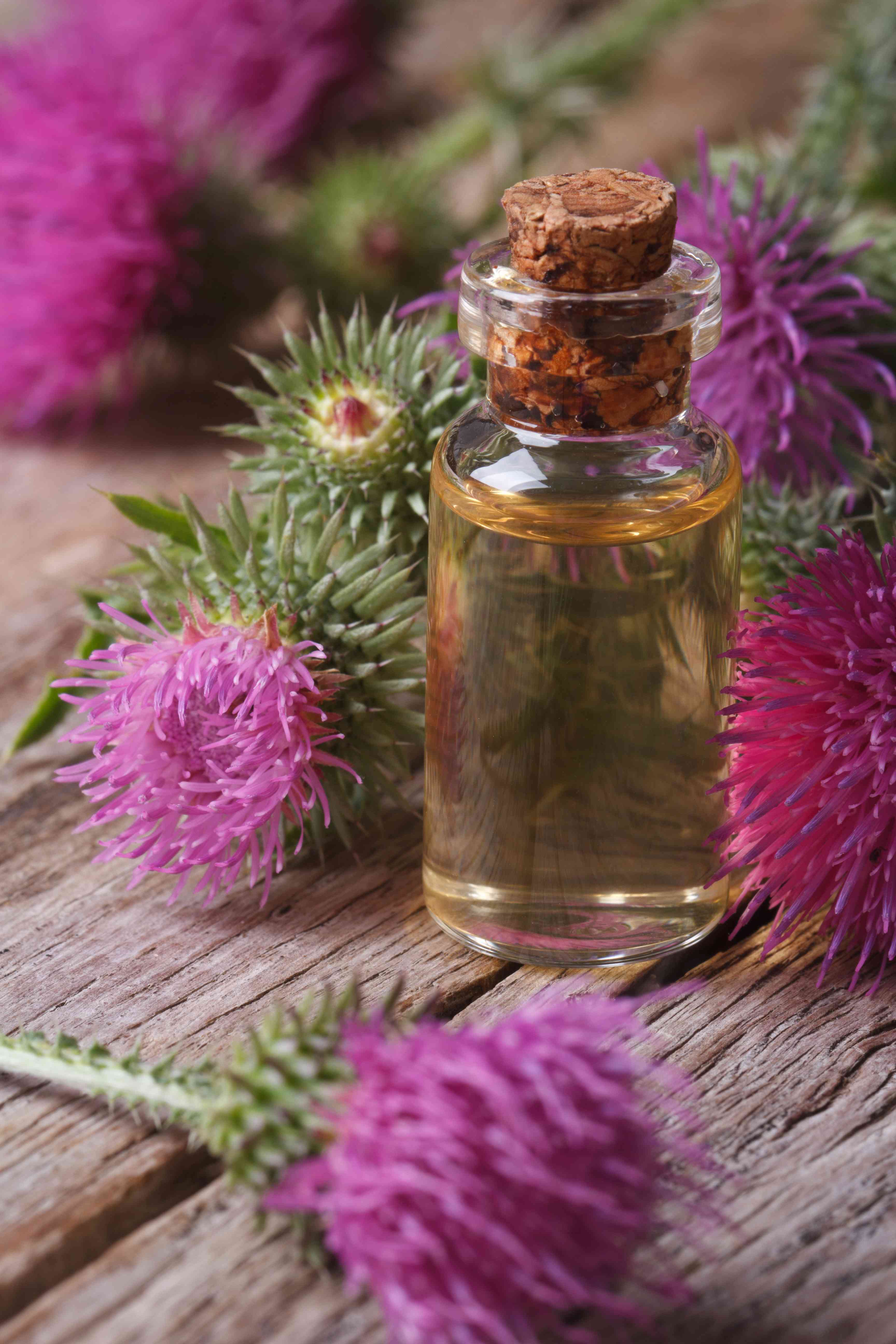 Bardana: proprietà e impieghi