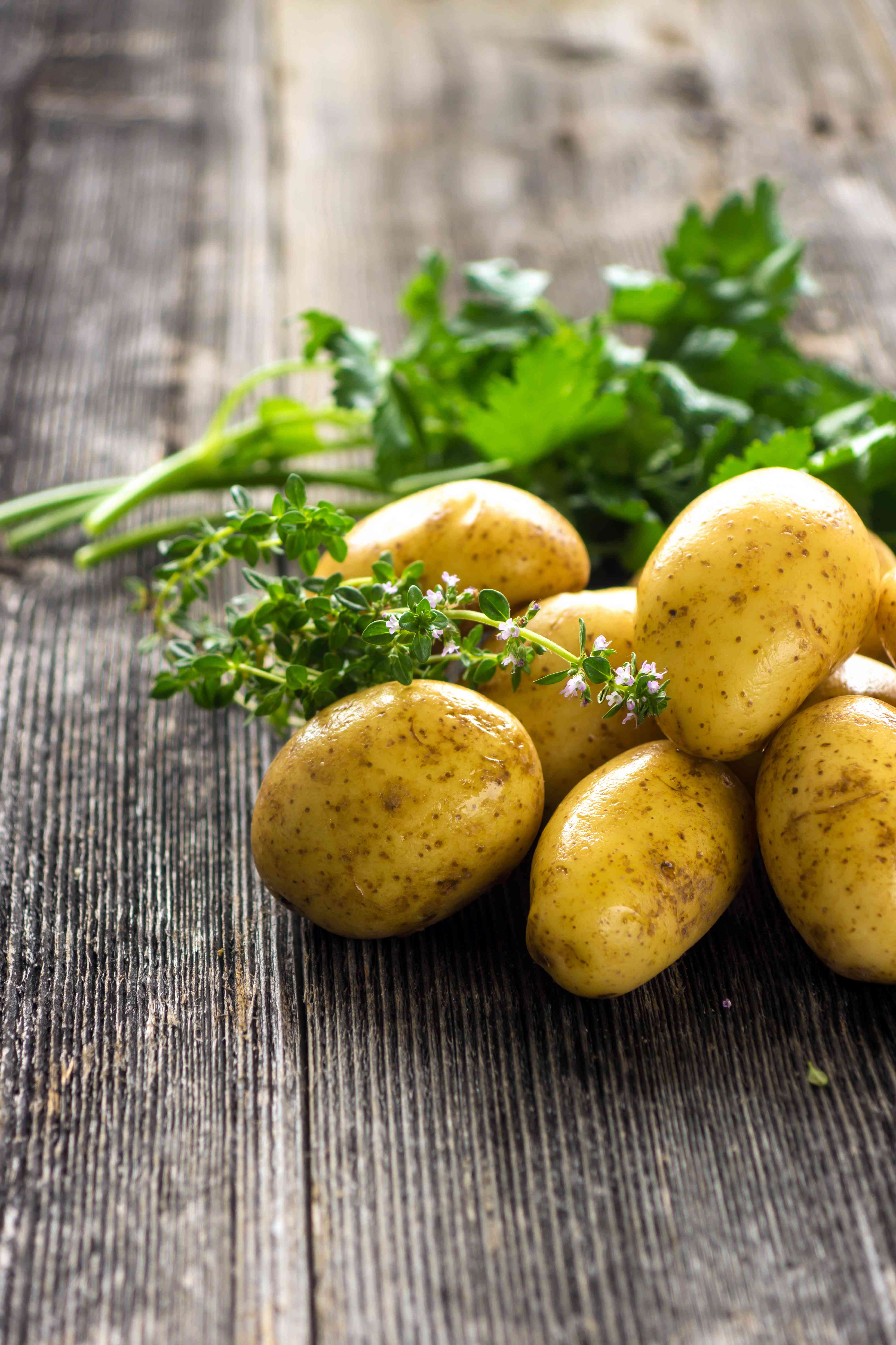 Come coltivare le patate in vaso: guida