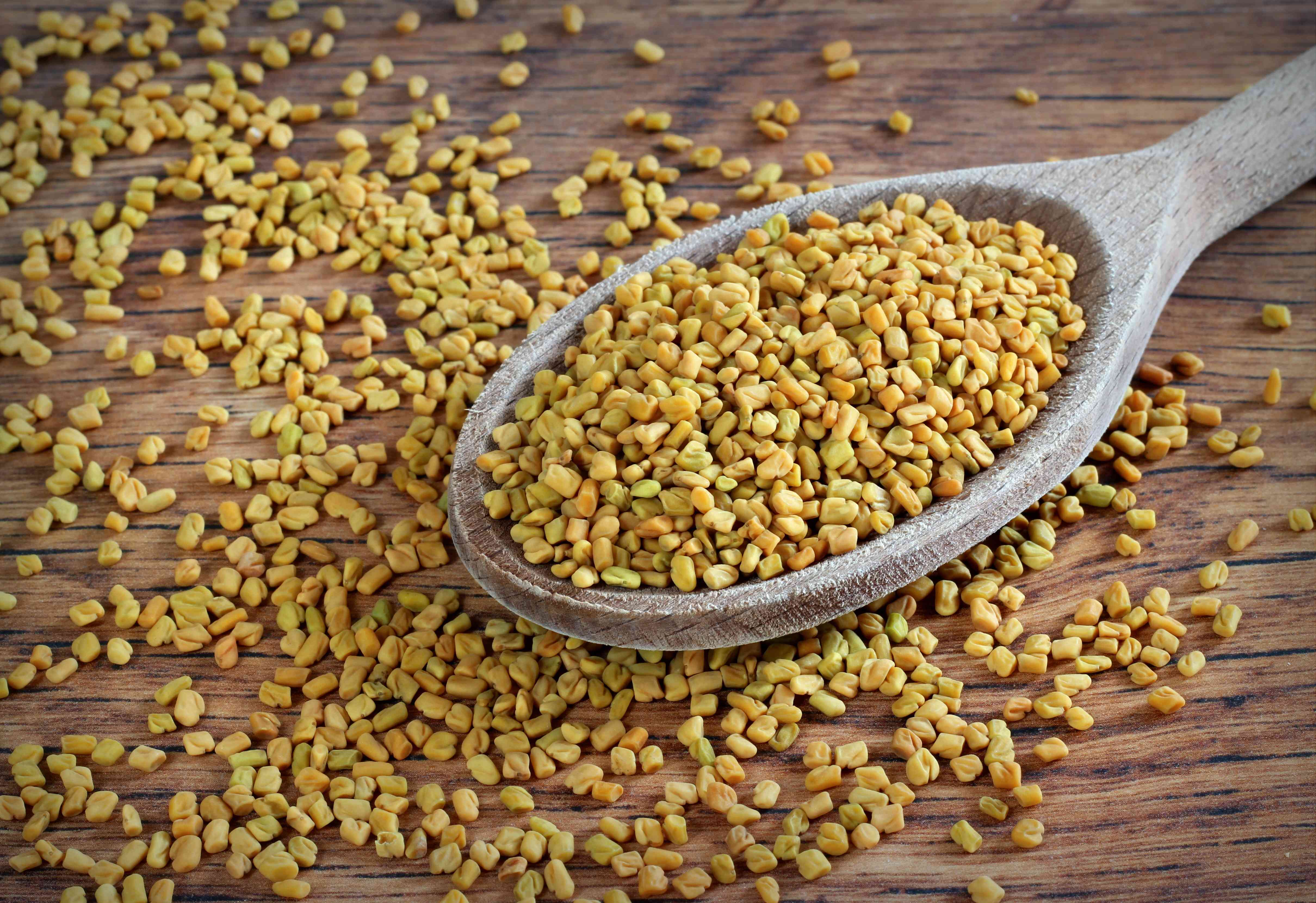 Fieno greco: proprietà e controindicazioni