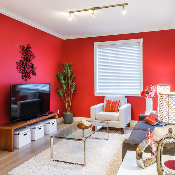 Come pulire le pareti di casa dalla muffa