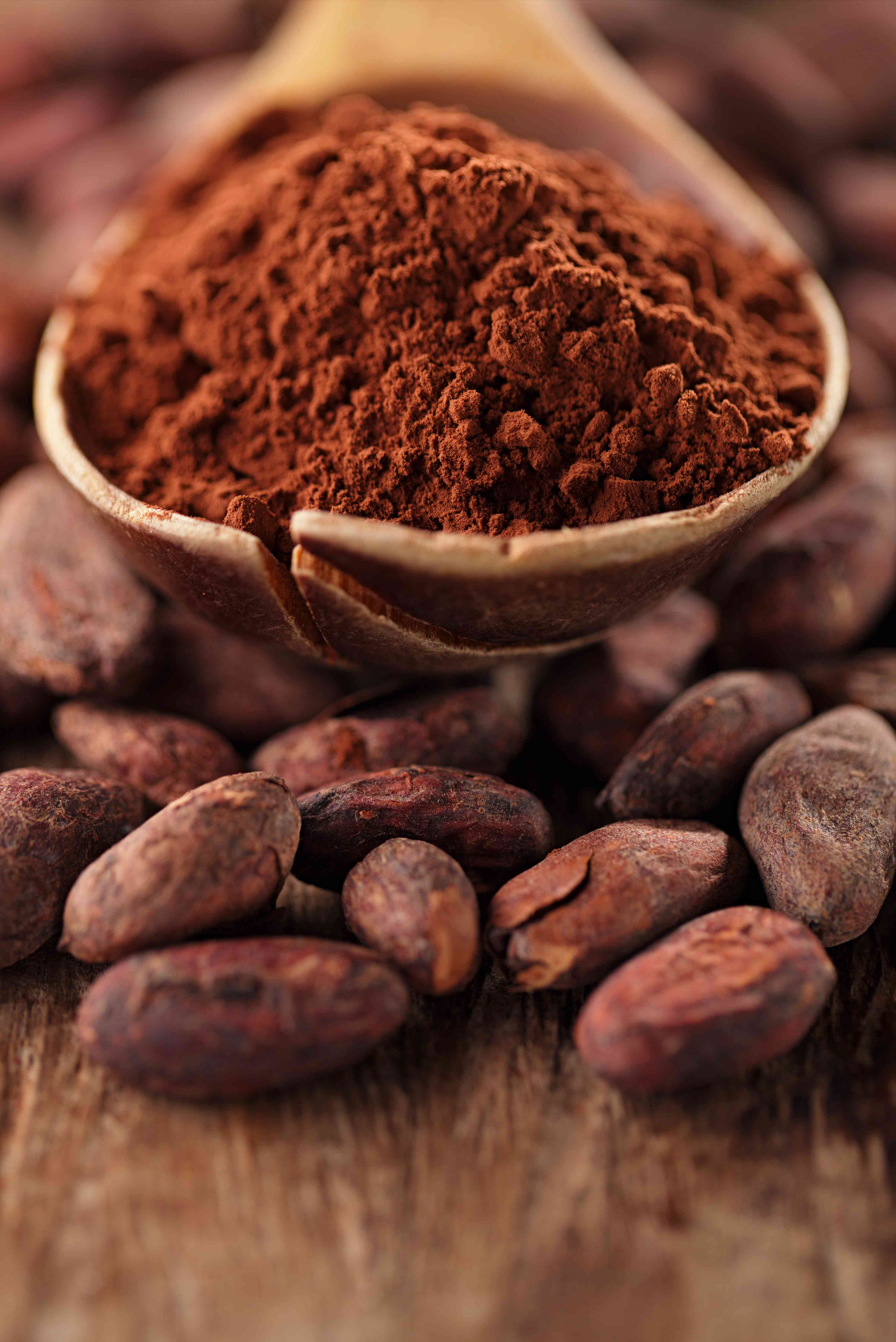 Cacao amaro: proprietà