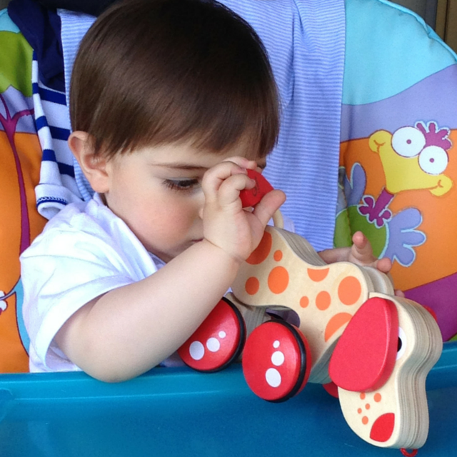 Come pulire i giocattoli