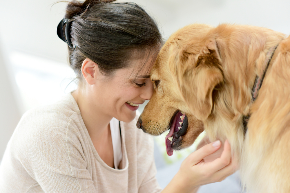 Il primo soccorso per Fido