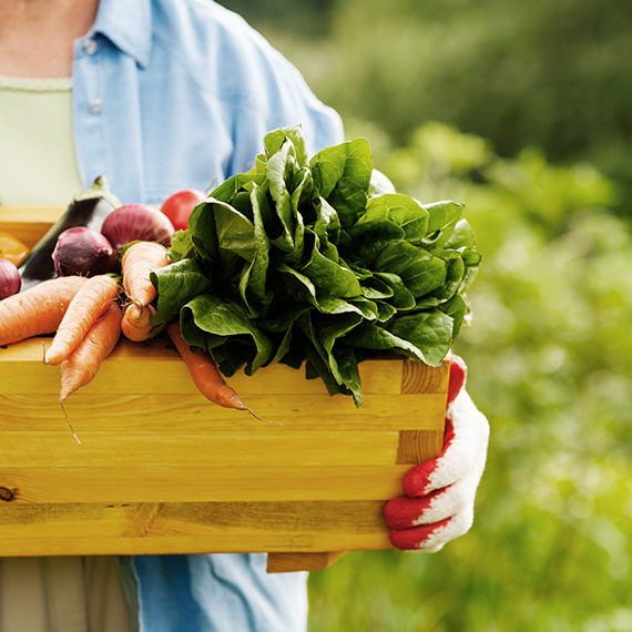 La frutta e verdura di stagione a giugno: sul terrazzo, nell’orto e al mercato