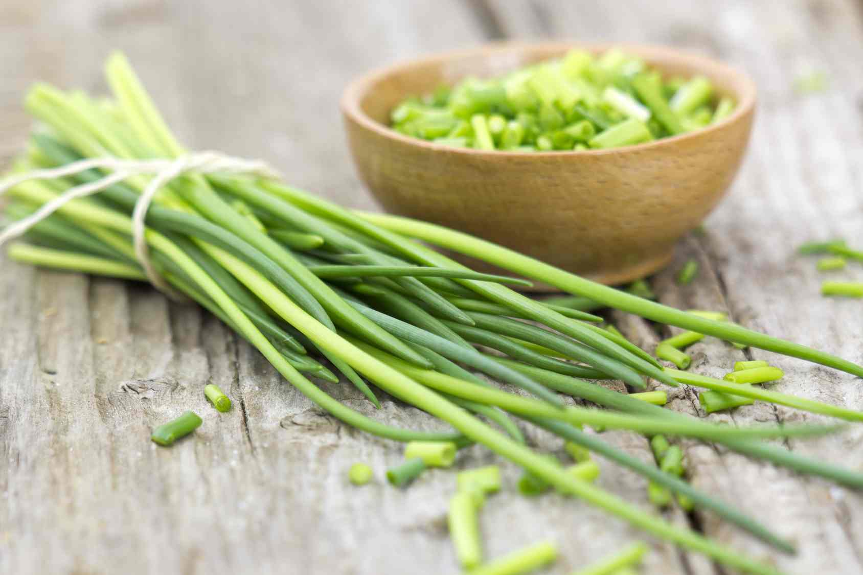 Erba cipollina: proprietà, benefici e controindicazioni