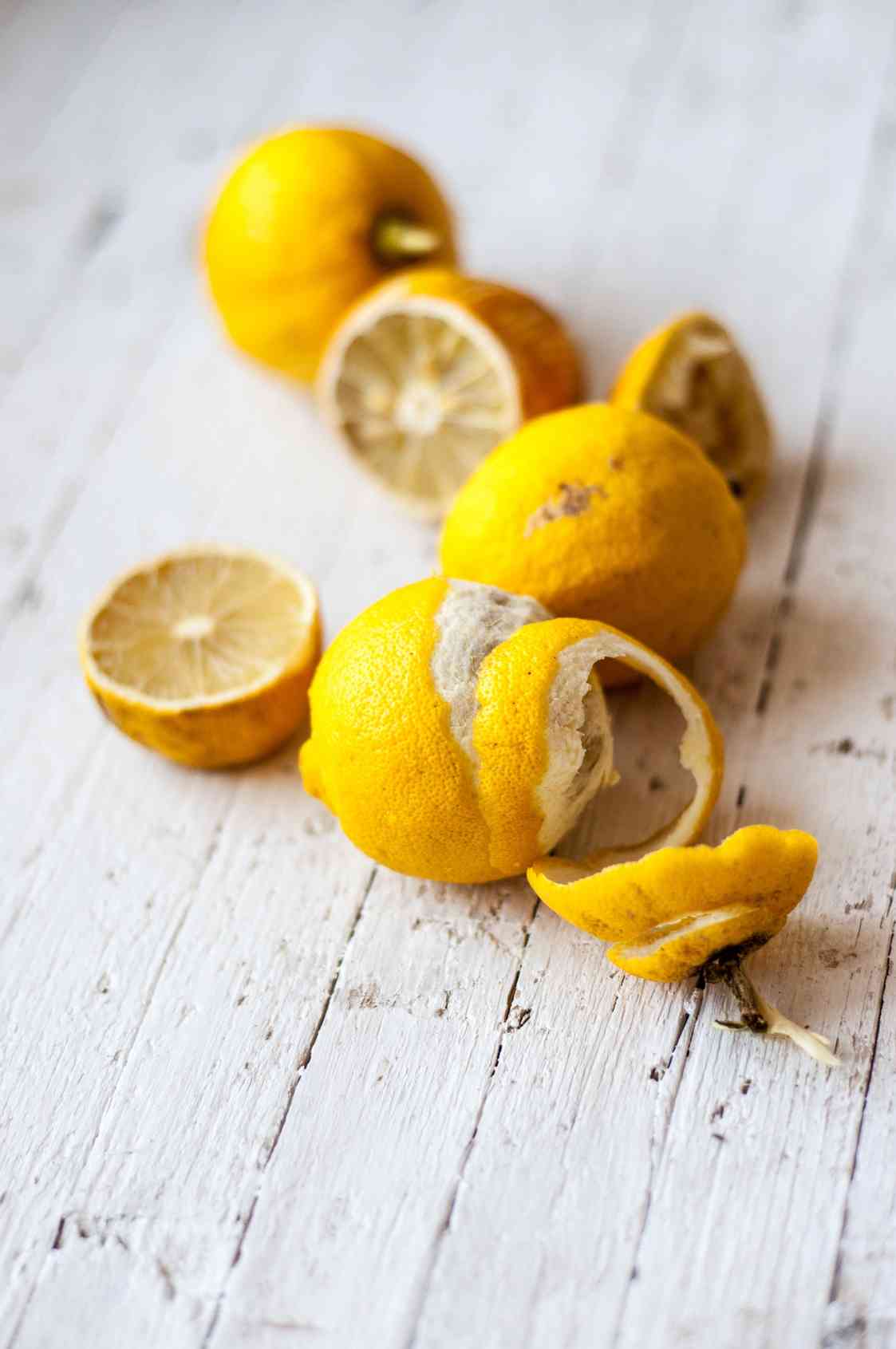 Rimedi naturali contro le mosche: come allontanarle