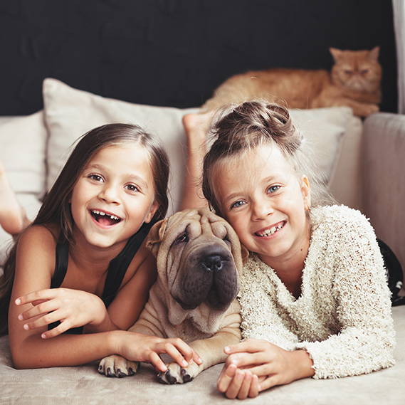 Quando tuo figlio vuole un cane