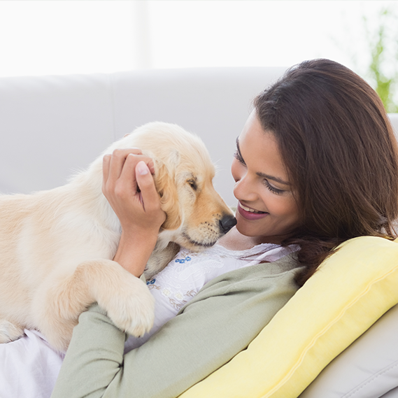 Ci amano di più i cani o i gatti?