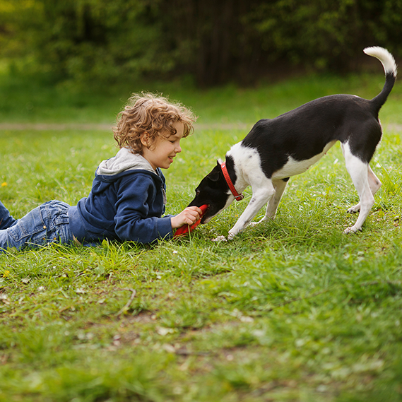 I bambini e la paura dei cani: come superarla