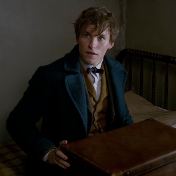 Harry Potter: 5 cose che non sapevi sulla saga e i suoi prequel